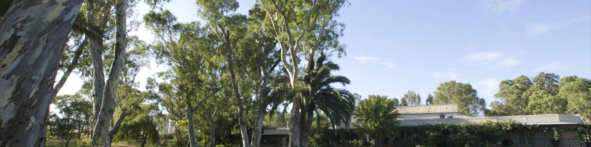 Peter Lehmann das einen Park