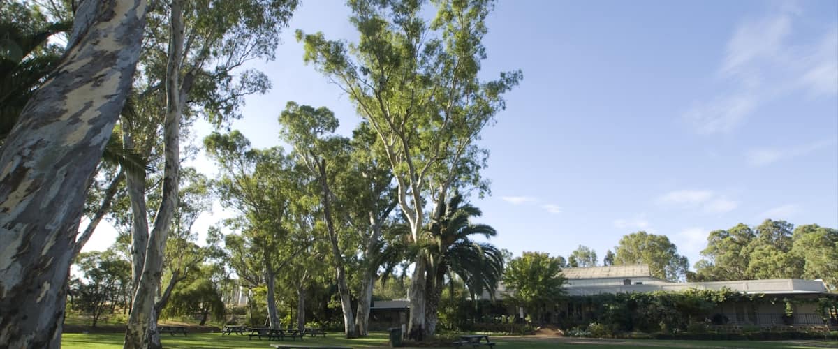 Peter Lehmann featuring a park