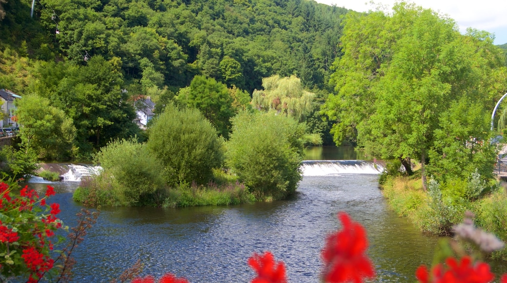 Vianden mostrando un lago o laguna y un jardín