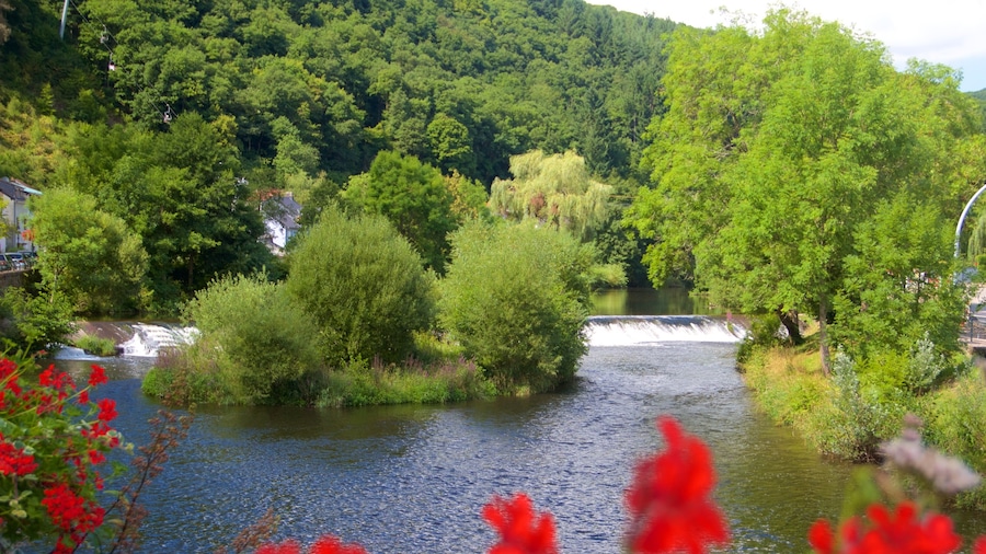 Vianden que incluye un lago o abrevadero y un jardín