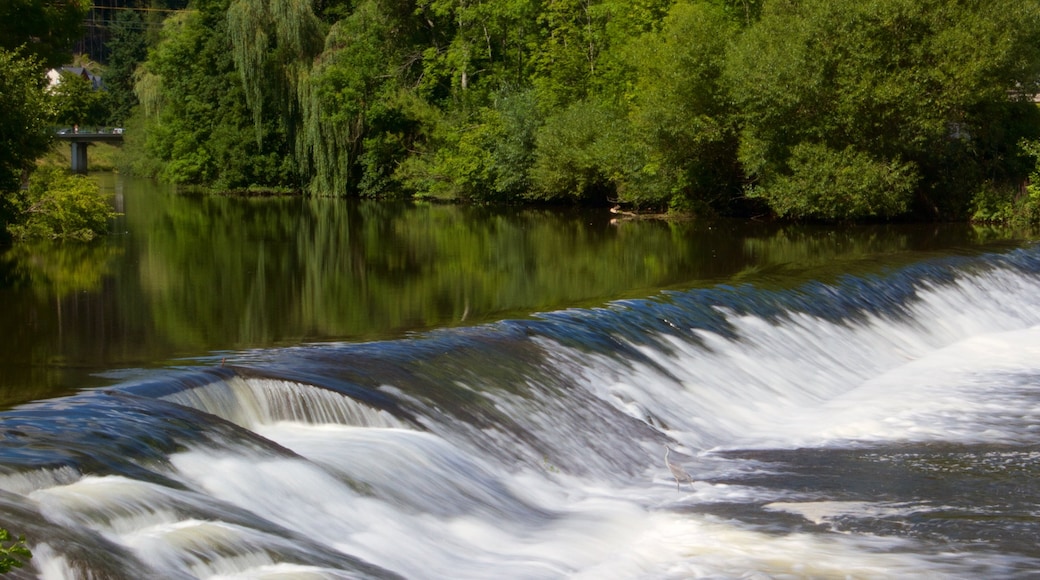 Vianden toont een waterval en een rivier of beek