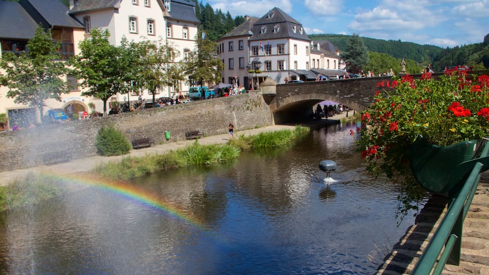 Vianden qui includes fleurs, petite ville ou village et riviĂšre ou ruisseau