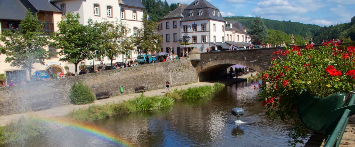 Vianden ofreciendo un río o arroyo, flores y una pequeña ciudad o pueblo