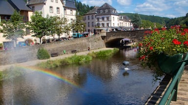 Vianden inclusief een klein stadje of dorpje, bloemen en een rivier of beek