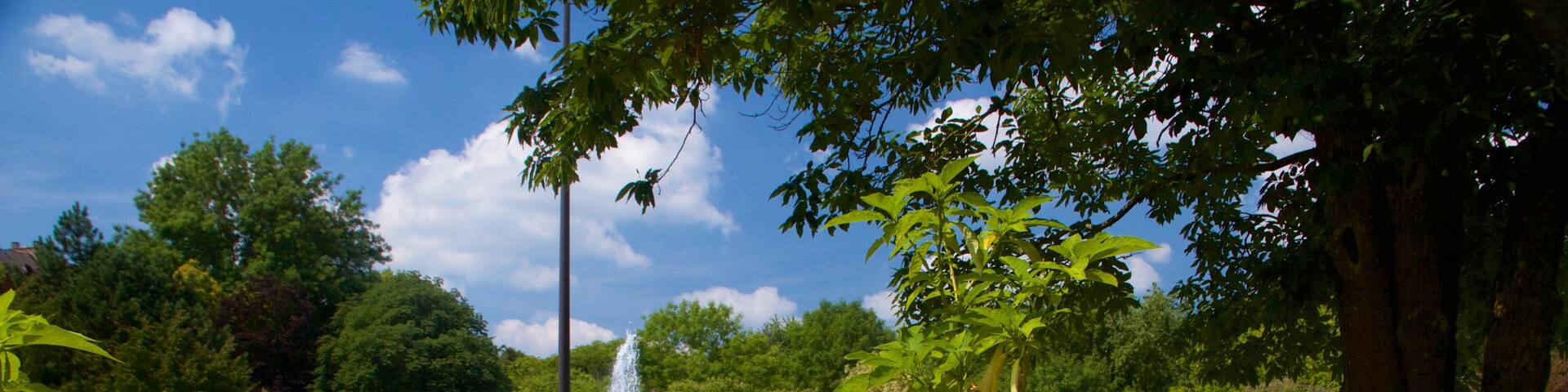 Luxembourg montrant jardin et fleurs