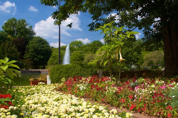 Luxembourg montrant jardin et fleurs