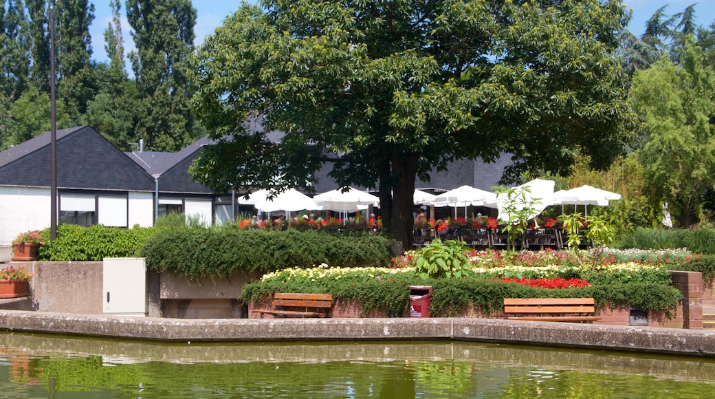 Luxemburg welches beinhaltet Garten und Teich