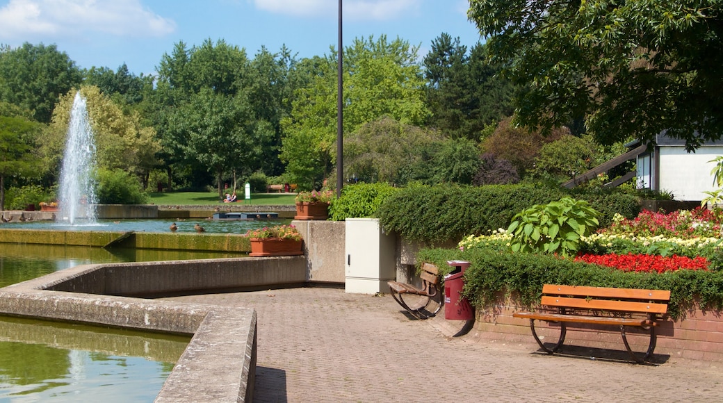 Luxembourg showing a pond, a fountain and a garden