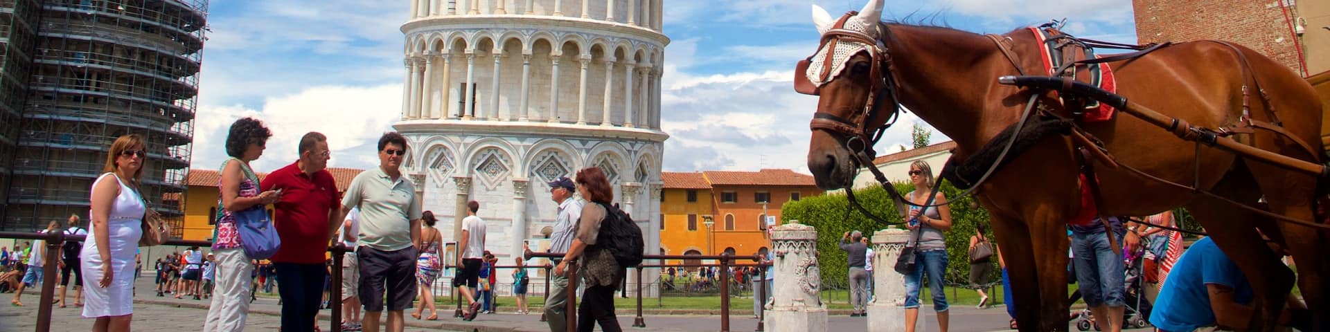 Leaning Tower showing land animals, heritage elements and heritage architecture