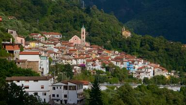 Massa Carrara showing a small town or village, tranquil scenes and a city