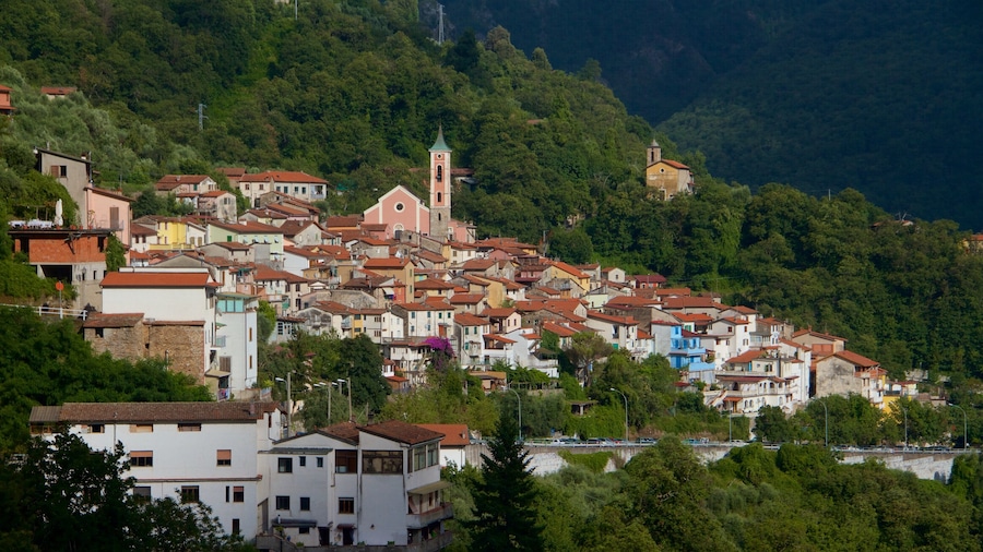 Massa Carrara presenterar en stad, en liten stad eller by och stillsam natur