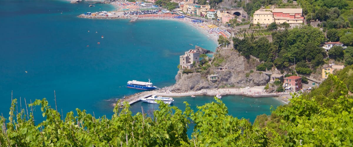 Monterosso Beach which includes a coastal town and general coastal views