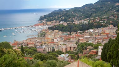 Portofino - Golfo Tigullio featuring a city, a coastal town and general coastal views