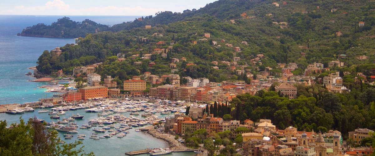 Portofino which includes a city, a coastal town and a bay or harbour