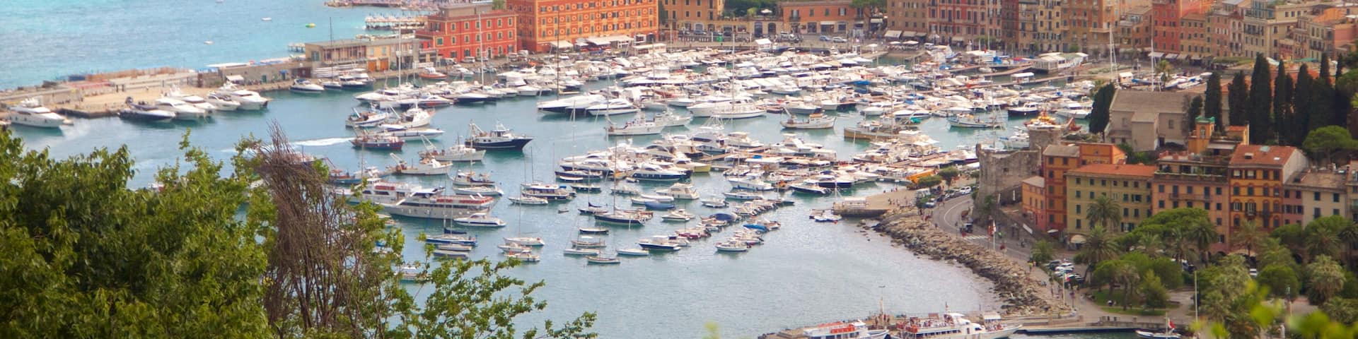 Portofino which includes a coastal town, a bay or harbor and boating