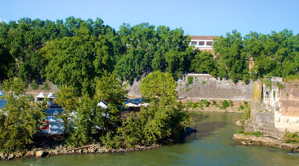 Tiber Island which includes a lake or waterhole