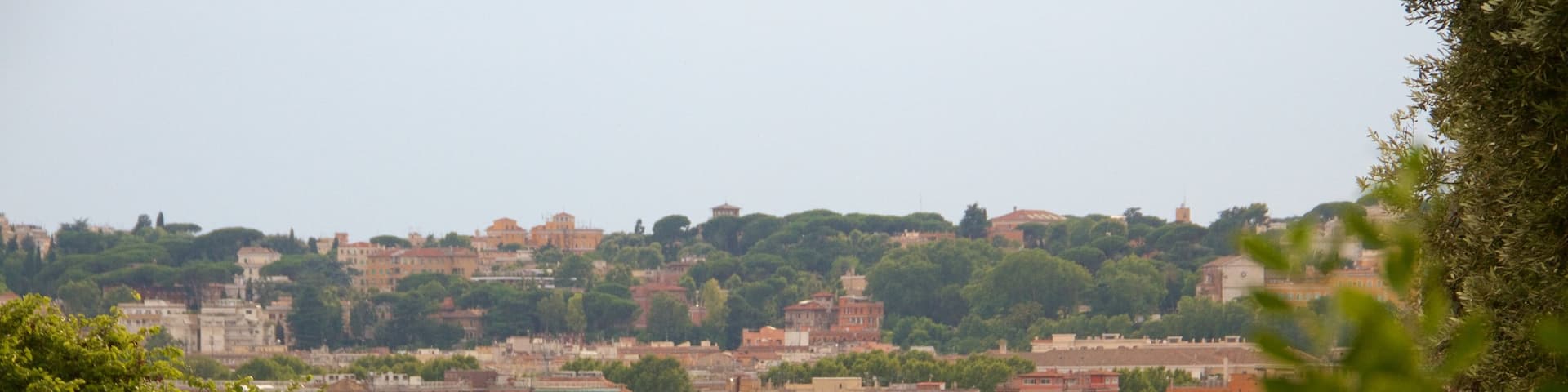 Palatin mit einem Stadt