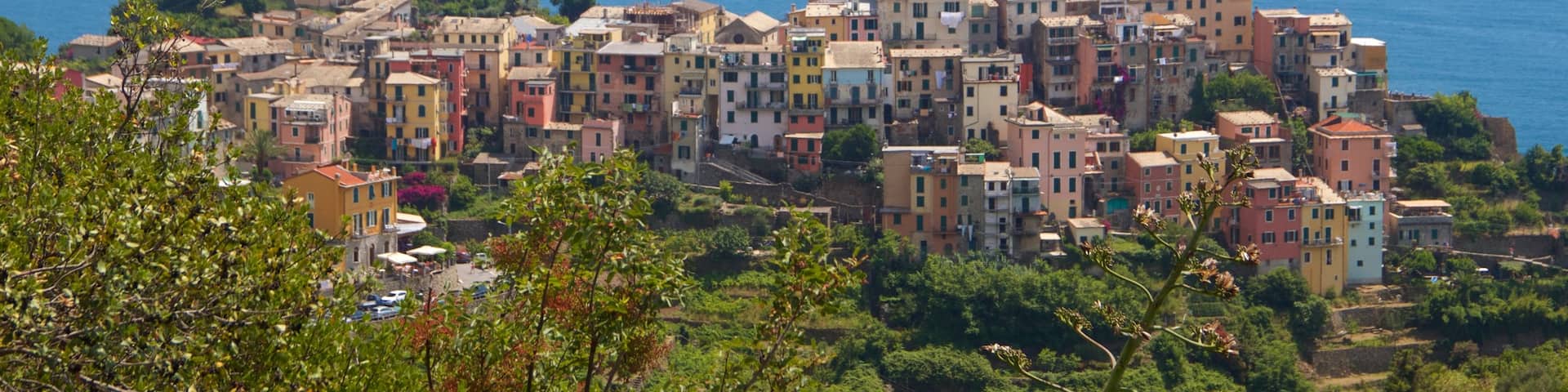 Corniglia featuring general coastal views and a coastal town