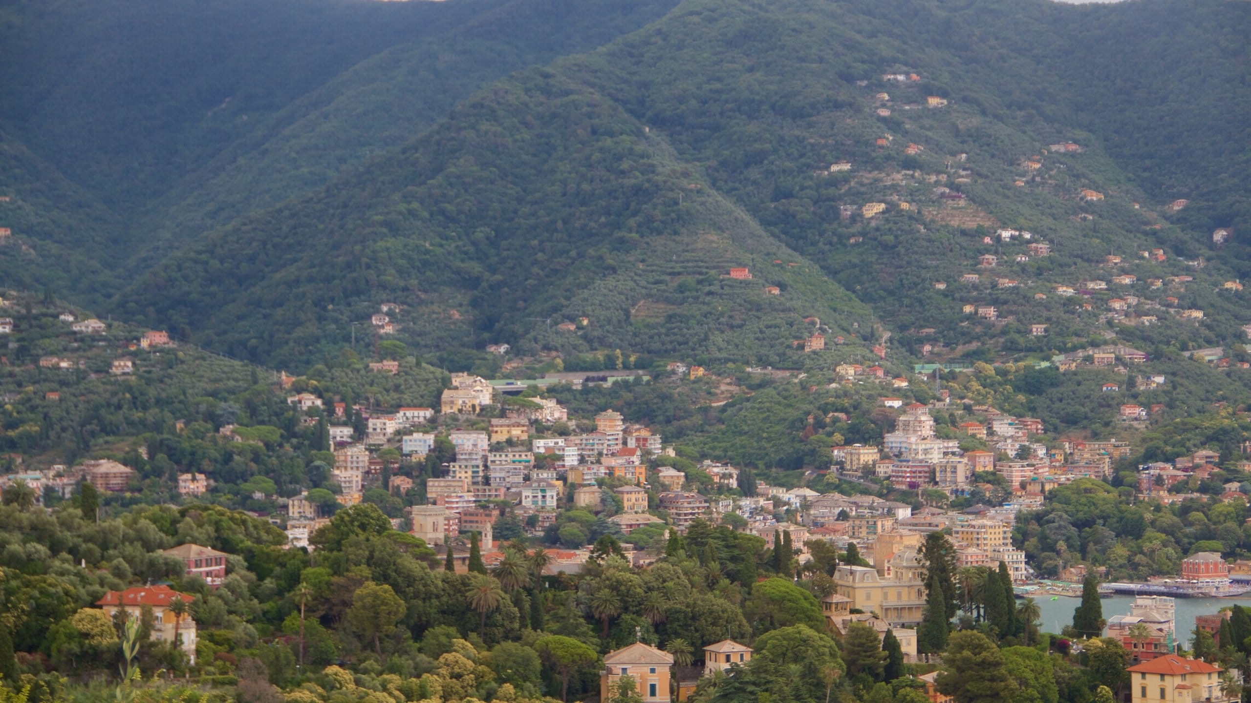 Rapallo showing tranquil scenes and a coastal town