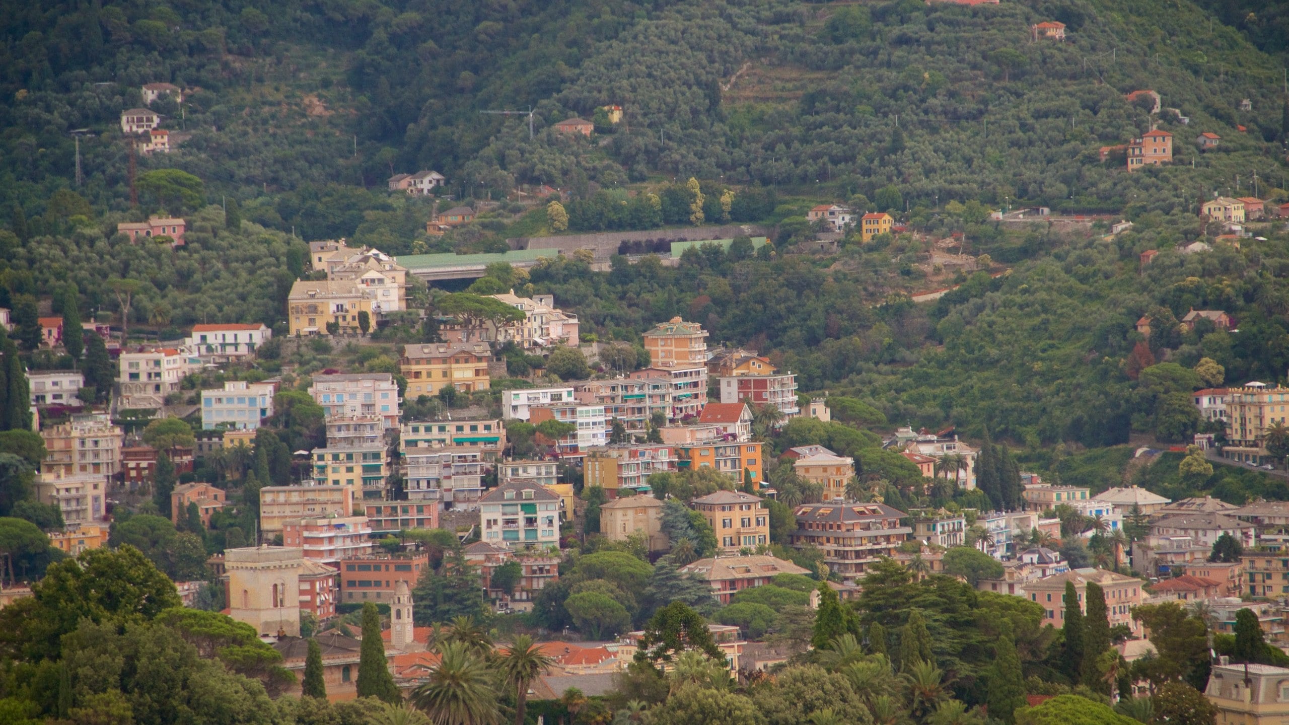 Rapallo showing tranquil scenes