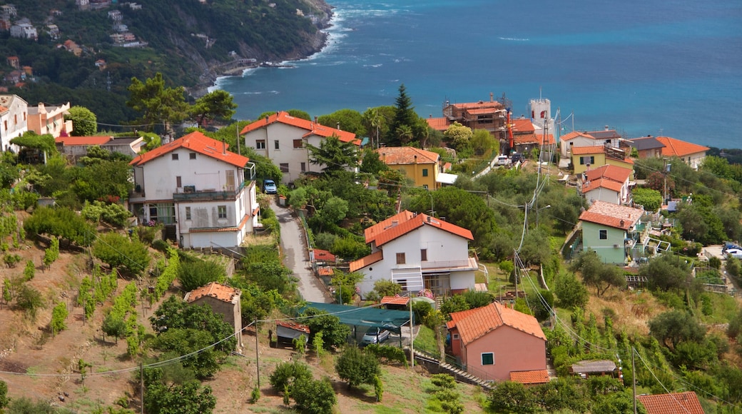 Moneglia which includes a coastal town and a house