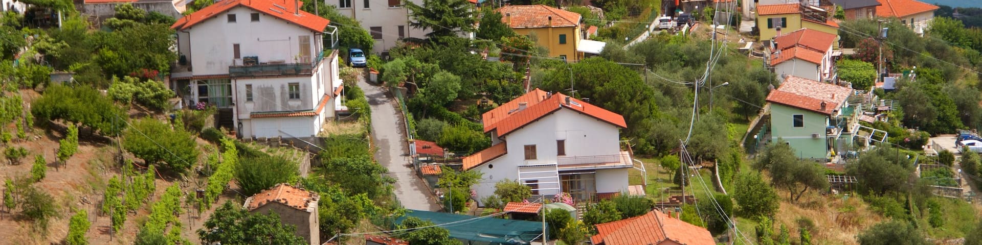 Moneglia showing a coastal town and a house