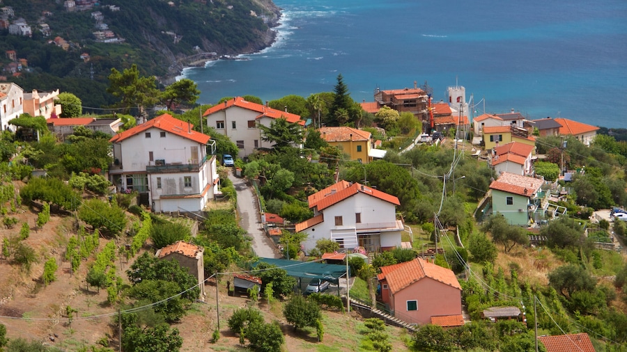 Moneglia mostrando casa e località costiera
