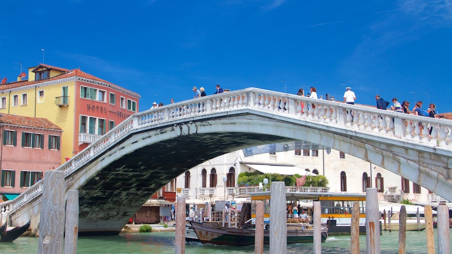 Scalzi Bridge featuring boating and a bridge