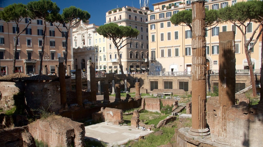 Area Sacra di Largo Argentina showing heritage elements and building ruins