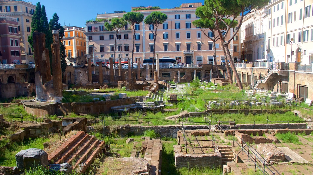 Area Sacra di Largo Argentina mit einem Ruine und Geschichtliches