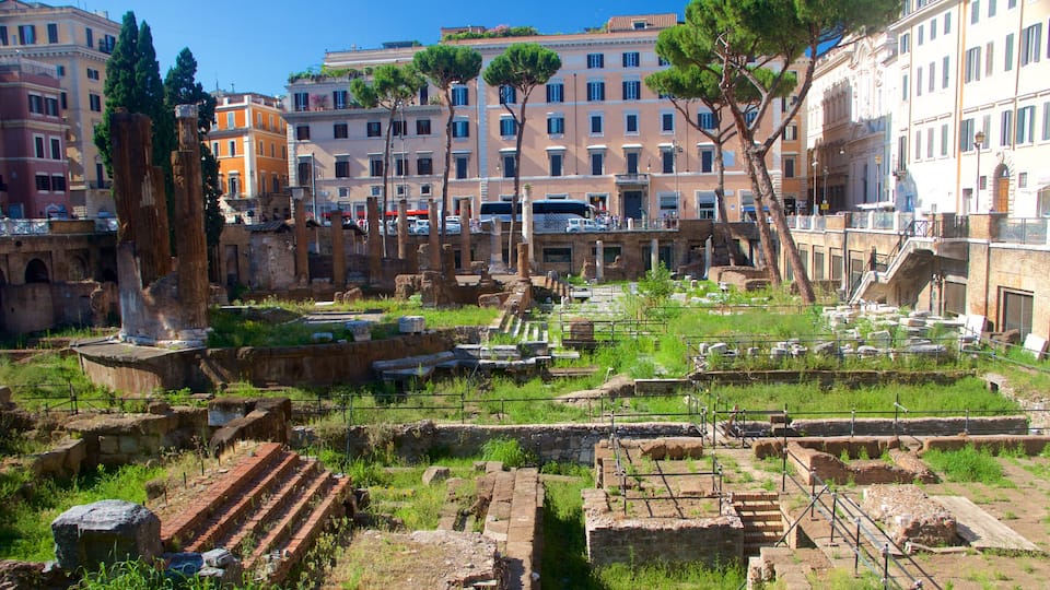 Area Sacra di Largo Argentina featuring heritage elements and building ruins