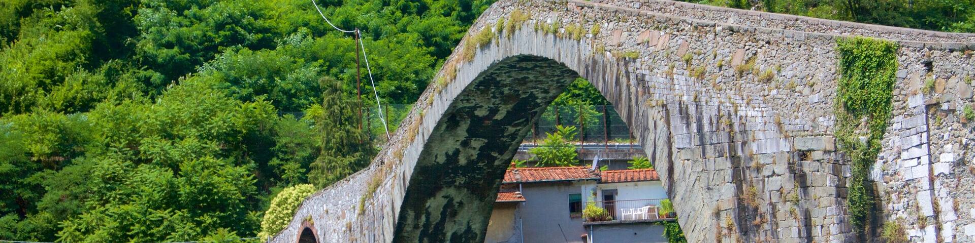Ponte della Maddalena featuring a bridge