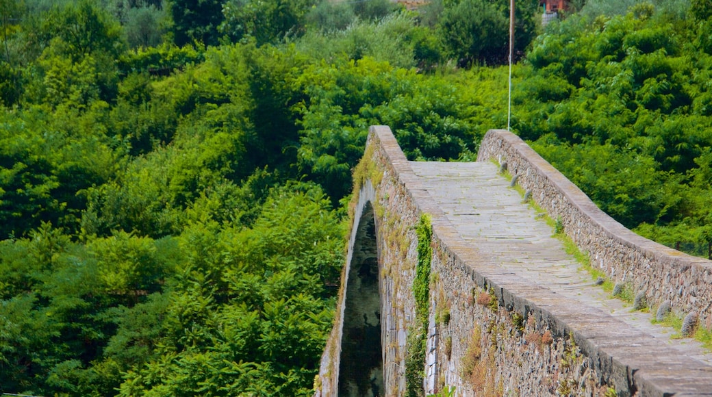 Ponte della Maddalena showing a bridge