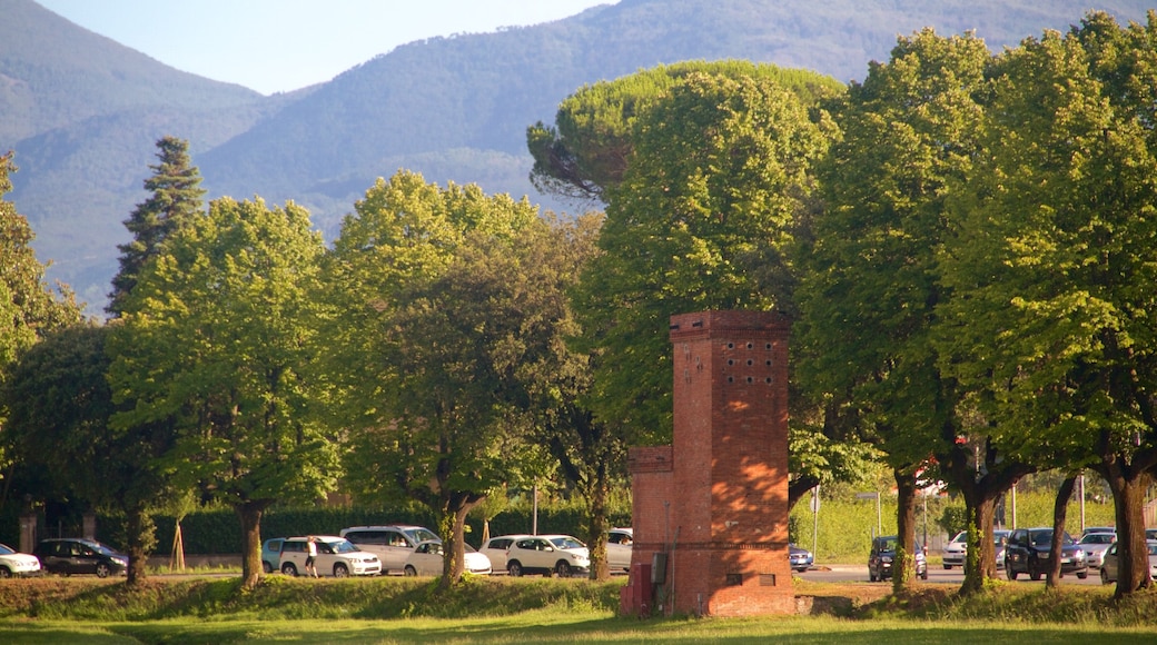 City Wall which includes a park