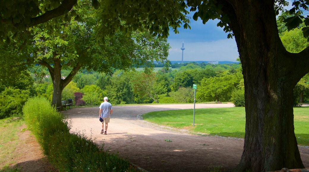 Seckbach som inkluderar en park