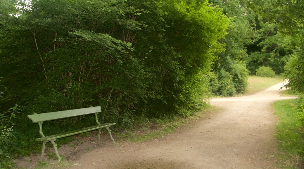 Potsdam som inkluderar en park