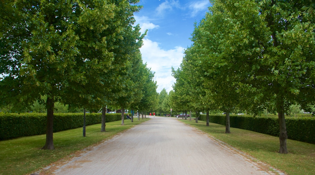 Potsdam featuring a park