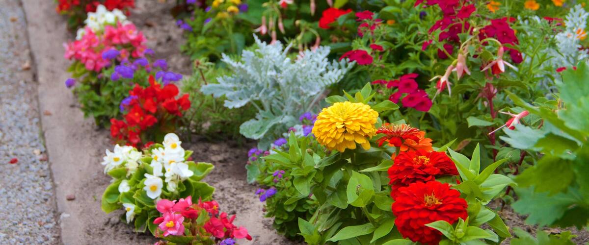 Potsdam mit einem Blumen und Park