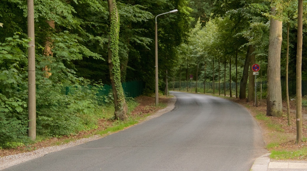 Park Babelsberg toont een park en regenwoud