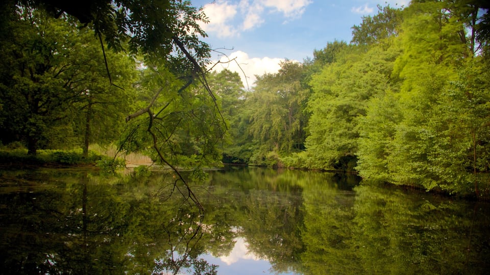 Tiergarten Soviet War Memorial featuring a lake or waterhole and forests