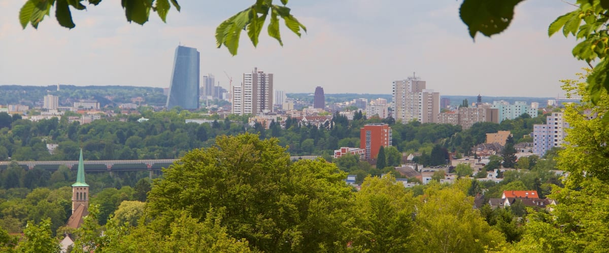 Seckbach showing a city