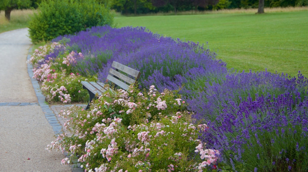 Seckbach som inkluderar en trädgård och blommor