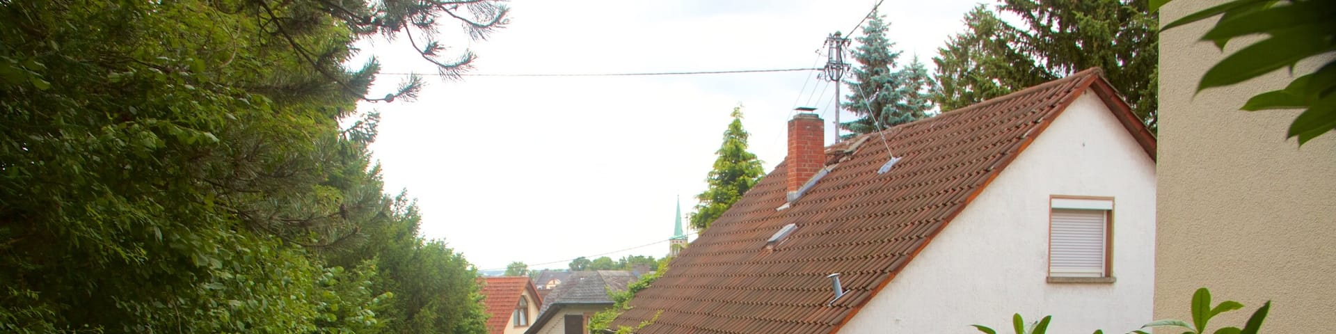 Seckbach showing a house