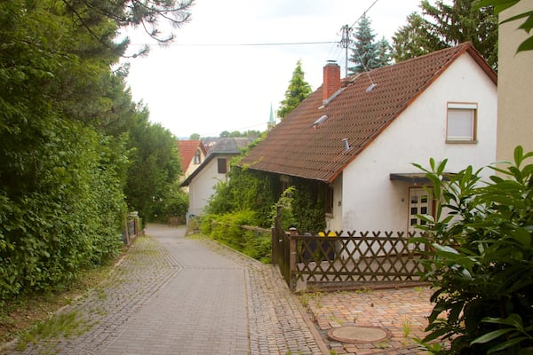 Seckbach showing a house