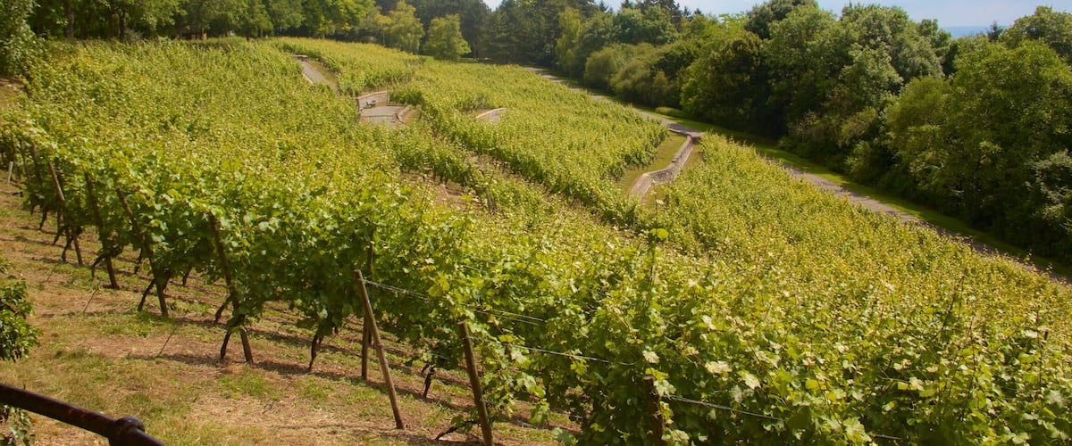 Lohberg mostrando escenas tranquilas y tierras de cultivo