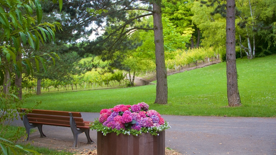 Lohberg welches beinhaltet Park und Blumen