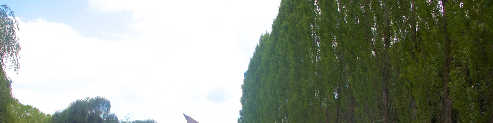 Berlin showing a garden