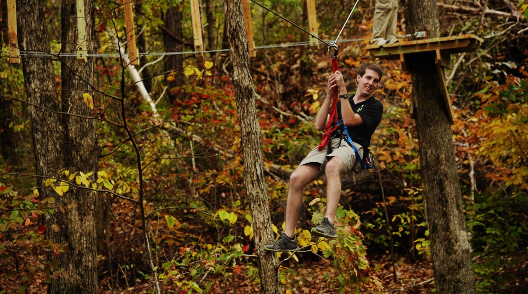 Foto proporcionada por Photo Courtesy Arkansas Department of Parks and Tourism