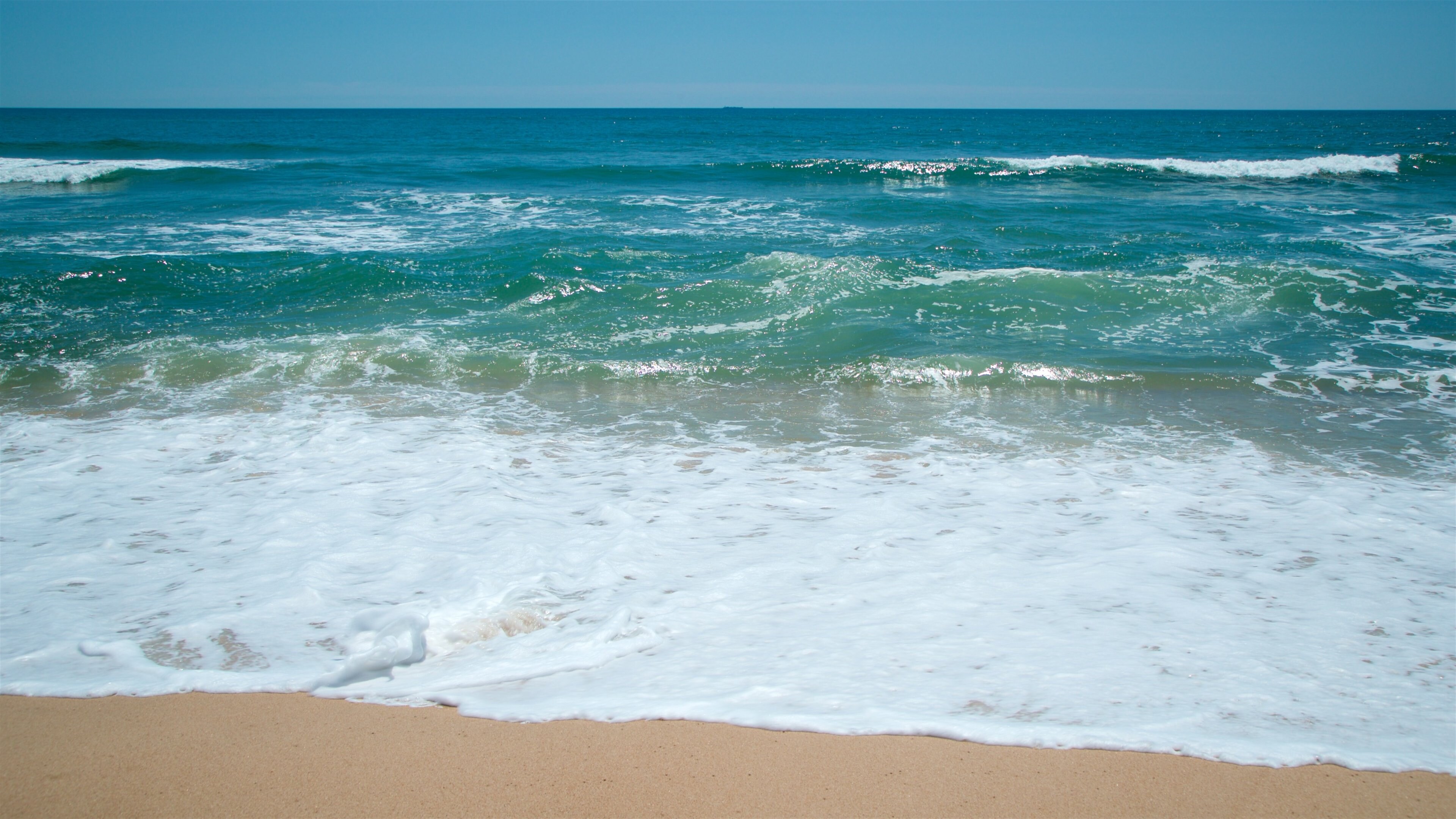 East Hampton Main Beach Tours Book Now Expedia