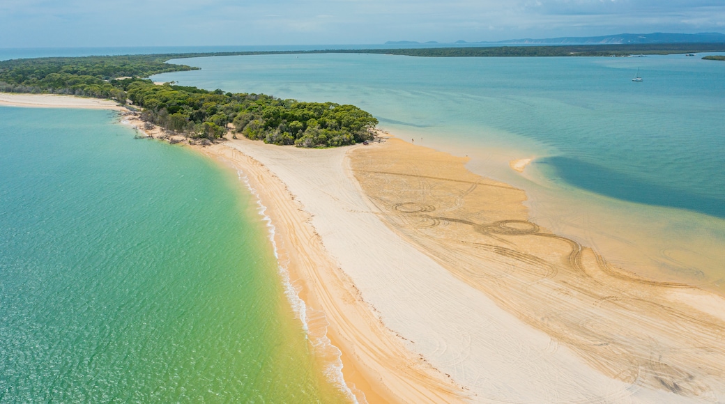 Visita Inskip: El mejor viaje a Inskip, Queensland, del 2024| Turismo ...